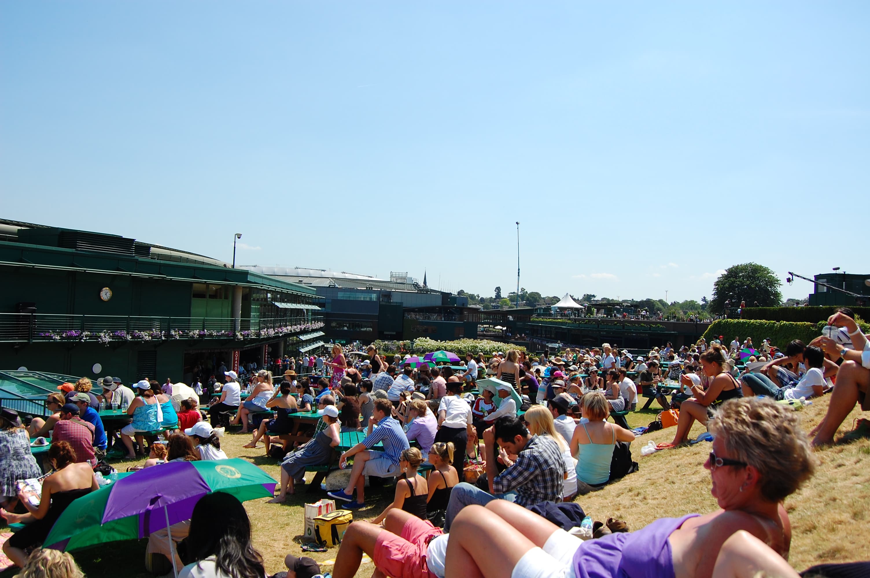 The Hill at Wimbledon